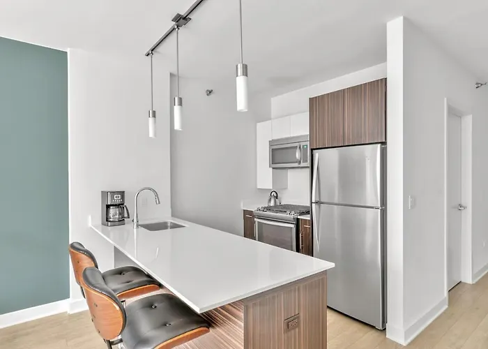 Loop 1br W Gym Pool Wd Nr Millennium Park Chi-230