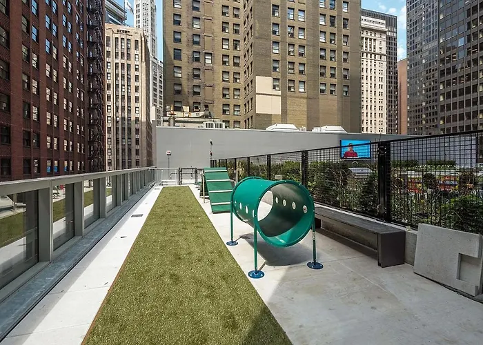Loop 1br W Gym Pool Wd Nr Millennium Park Chi-230 Apartment Chicago