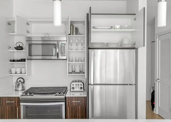 Loop 1br W Gym Pool Wd Nr Millennium Park Chi-230 *