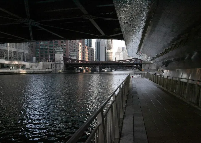 Loop 1br W Gym Pool Wd Nr Millennium Park Chi-230 *